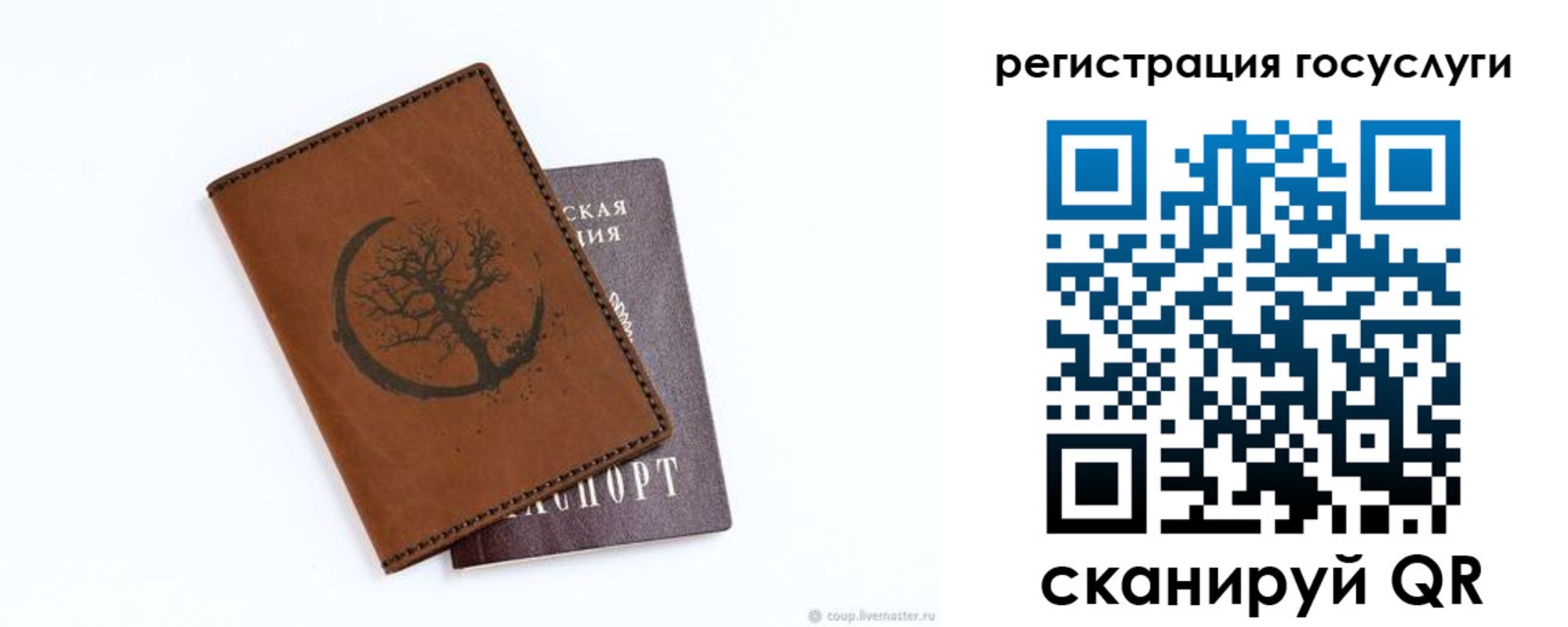 прописка для школы в Александровске-Сахалинском